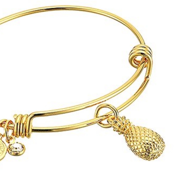 Halos & Glories Pineapple Charm Bracelet - Picture 2 of 8